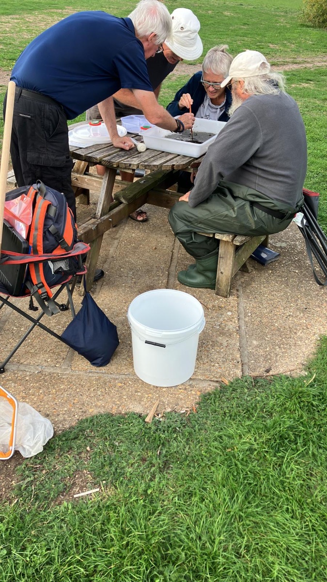 Elstow Brook Riverfly Survey